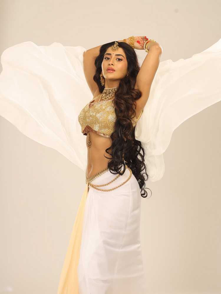 రాజసం ఉట్టిపడే రాశి సింగ్ సంప్రదాయ అవతార్