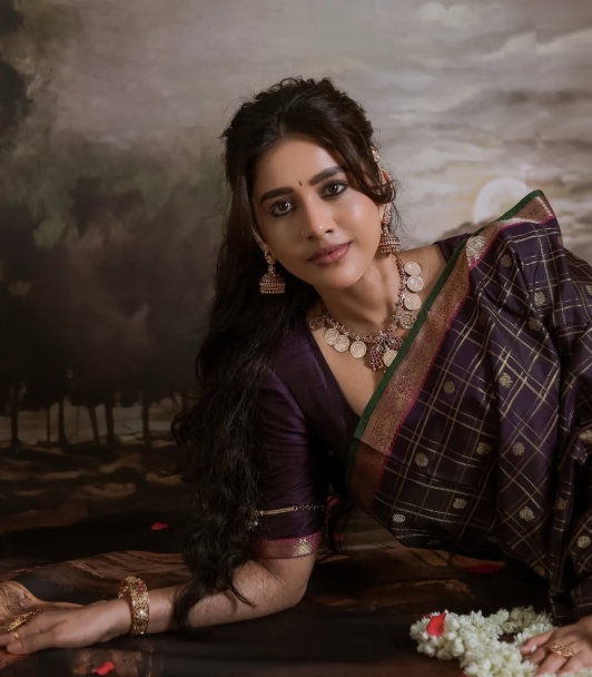 సాంప్రదాయ లుక్‌లో మెరిసిన నభా నటేష్..