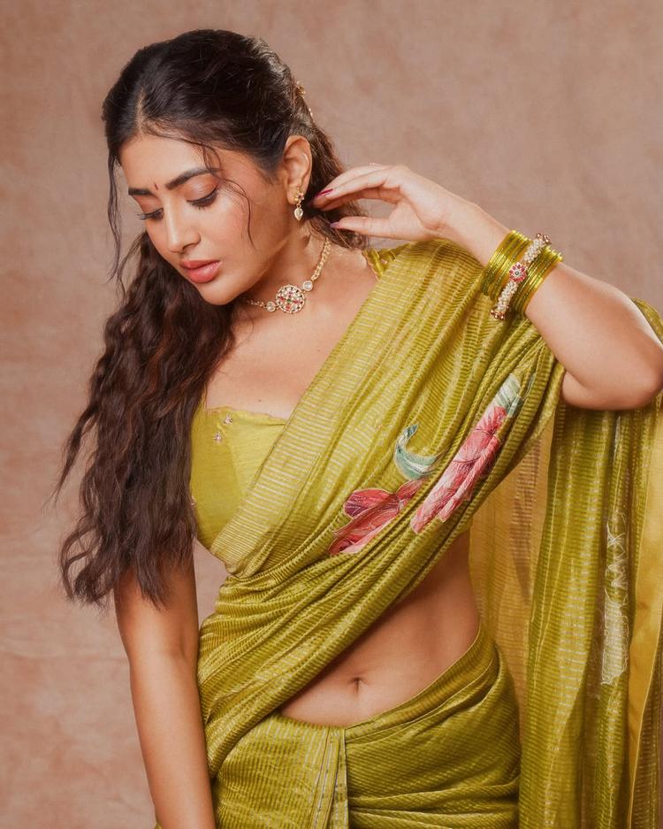 Rashi Singh’s Elegant Saree Look