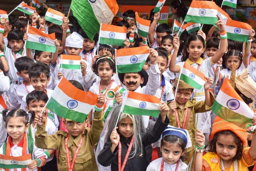 What is the REAL reason some people attend Independence Day celebrations?