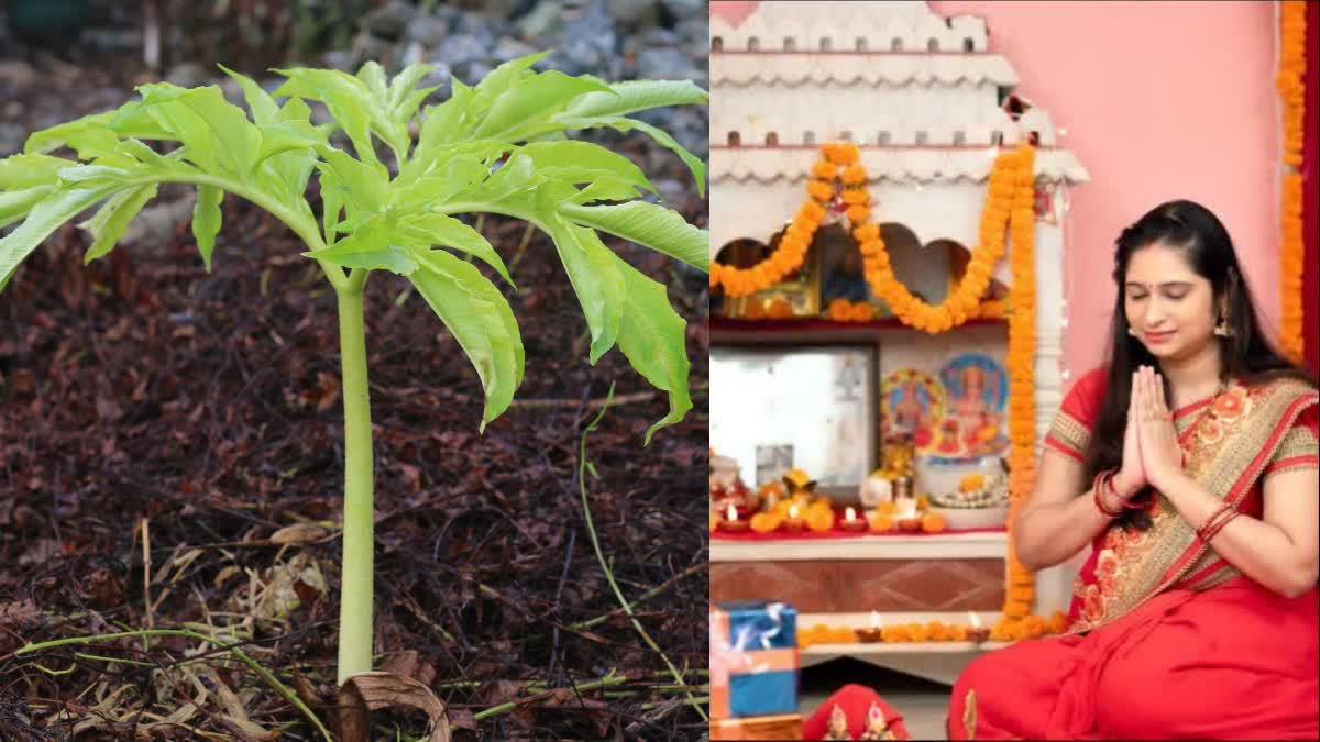 Mahalaya Paksha Begins - A Sacred Period to Honour Ancestors