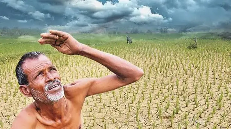 ఎల్‌నినో ప్రభావంతో తెలంగాణలో పంటలకు తీవ్ర నష్టం.. భారీ నష్టాల్లో రైతులు