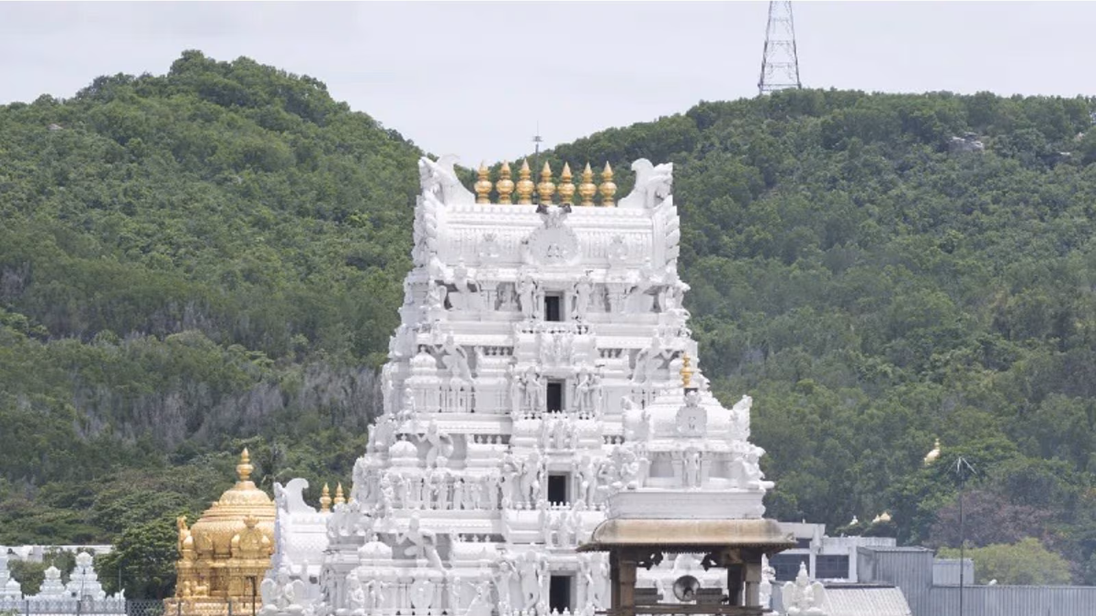 టీటీడీ పేరుతో నకిలీ బుకింగ్స్.. భక్తులకు బిగ్ అలర్ట్!