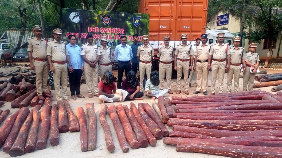 Crackdown on Red Sanders Smuggling Gang