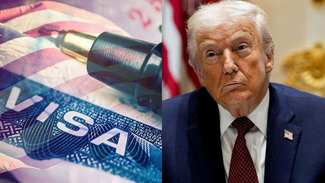 Trump’s Immigration Policies Hit Indian Students as US Arrivals Plunge