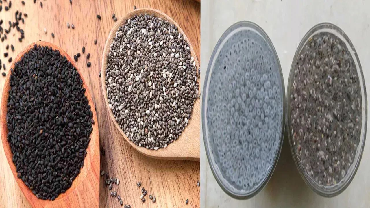 Doctors Suggest Having Chia and Sabja Seeds This Way for Better Health