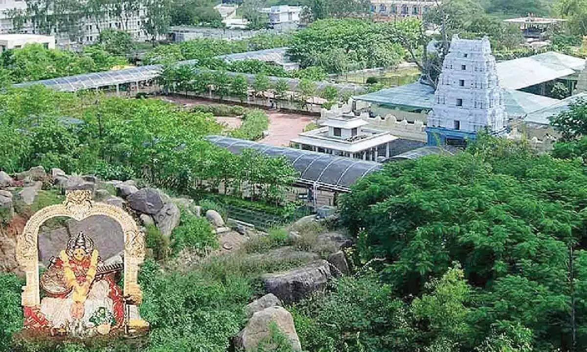 Theft Incident at Basara Temple Causes Sensation