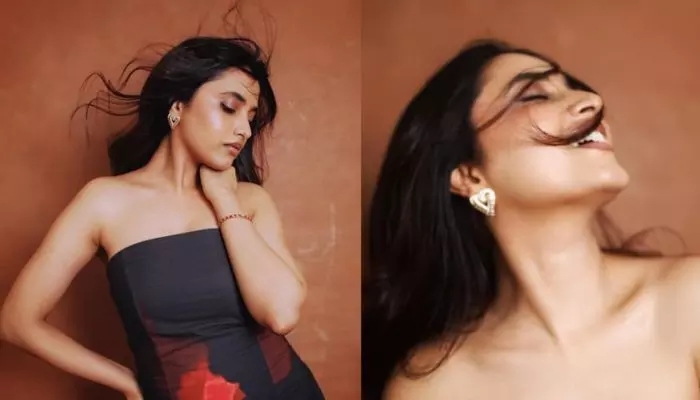 మళ్లీ తెరపైకి ప్రియాంక మోహన్