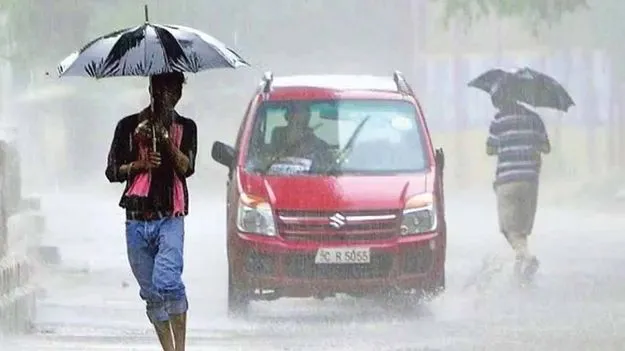 Monsoon May Reach Rayalaseema in Second Week, Says Weather Department