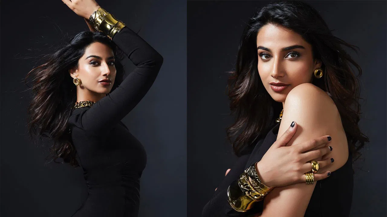 నాని సరసన మీనాక్షి చౌదరి?