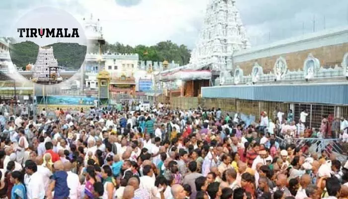 Devotees Flock in Large Numbers for Srivari Darshan