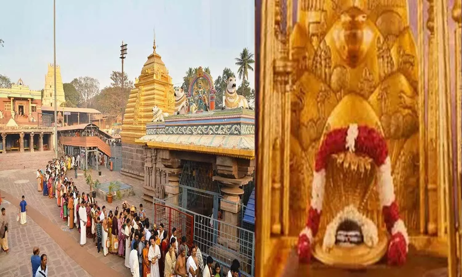 శ్రీశైలం మల్లన్న ఆలయానికి పోటెత్తిన భక్తులు