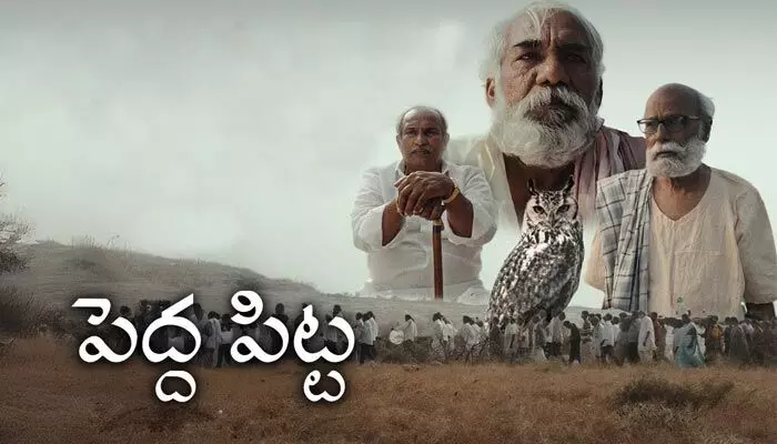 గ్రామ భయాలను చూపిన ‘పెద్ద పిట్ట’ కథ