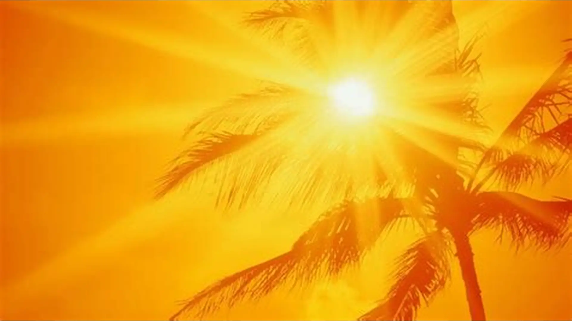 Is Telangana Bracing For Severe Heatwave..