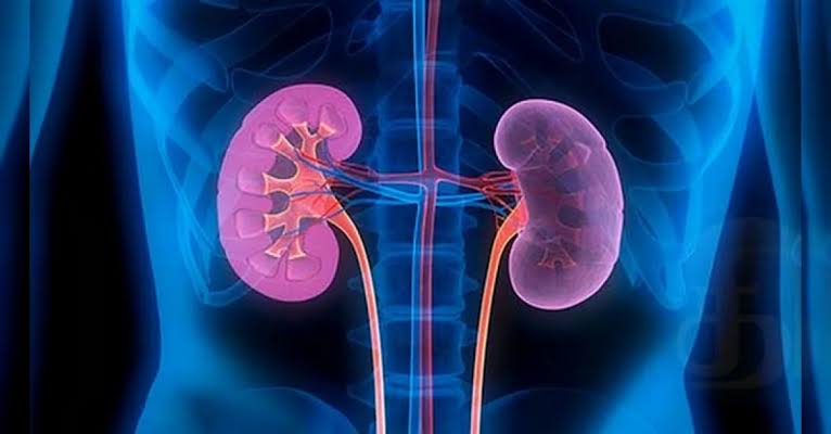 Uddanam Kidney Disease Study Reveals Key Findings.. Experts Probe Possible Causes