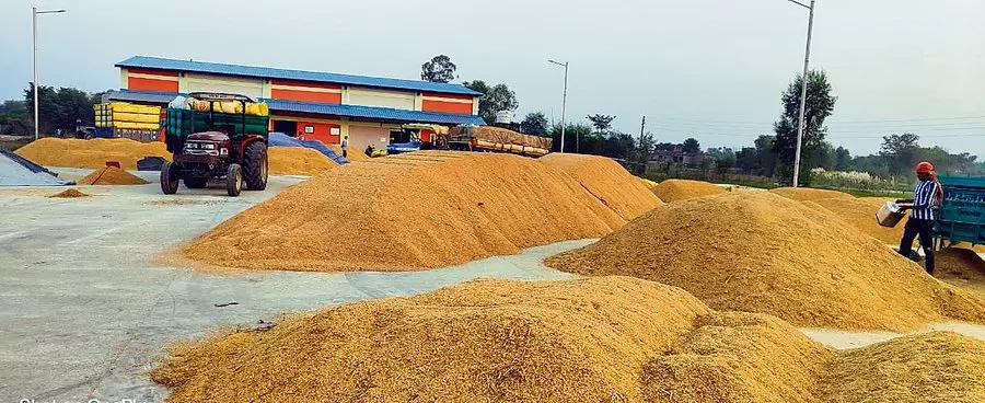 Telangana Government Speeds Up Paddy Procurement Process to Support Farmers