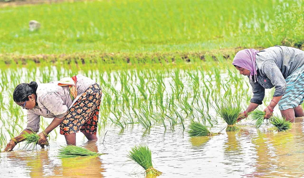 Rythu Bharosa Funds Released for Farmers Owning Up to 7 Acres: Minister Tummala