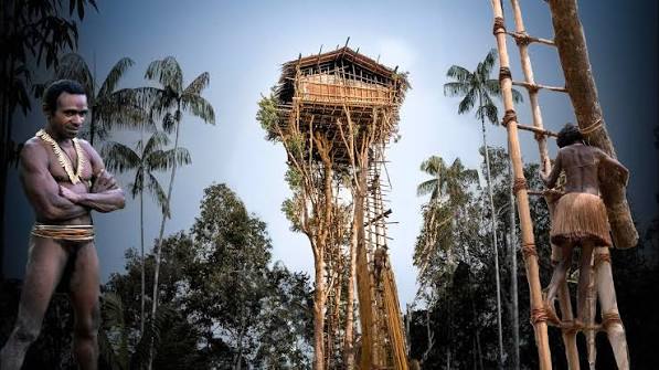 The Unique Lifestyle of the Korowai Tribe