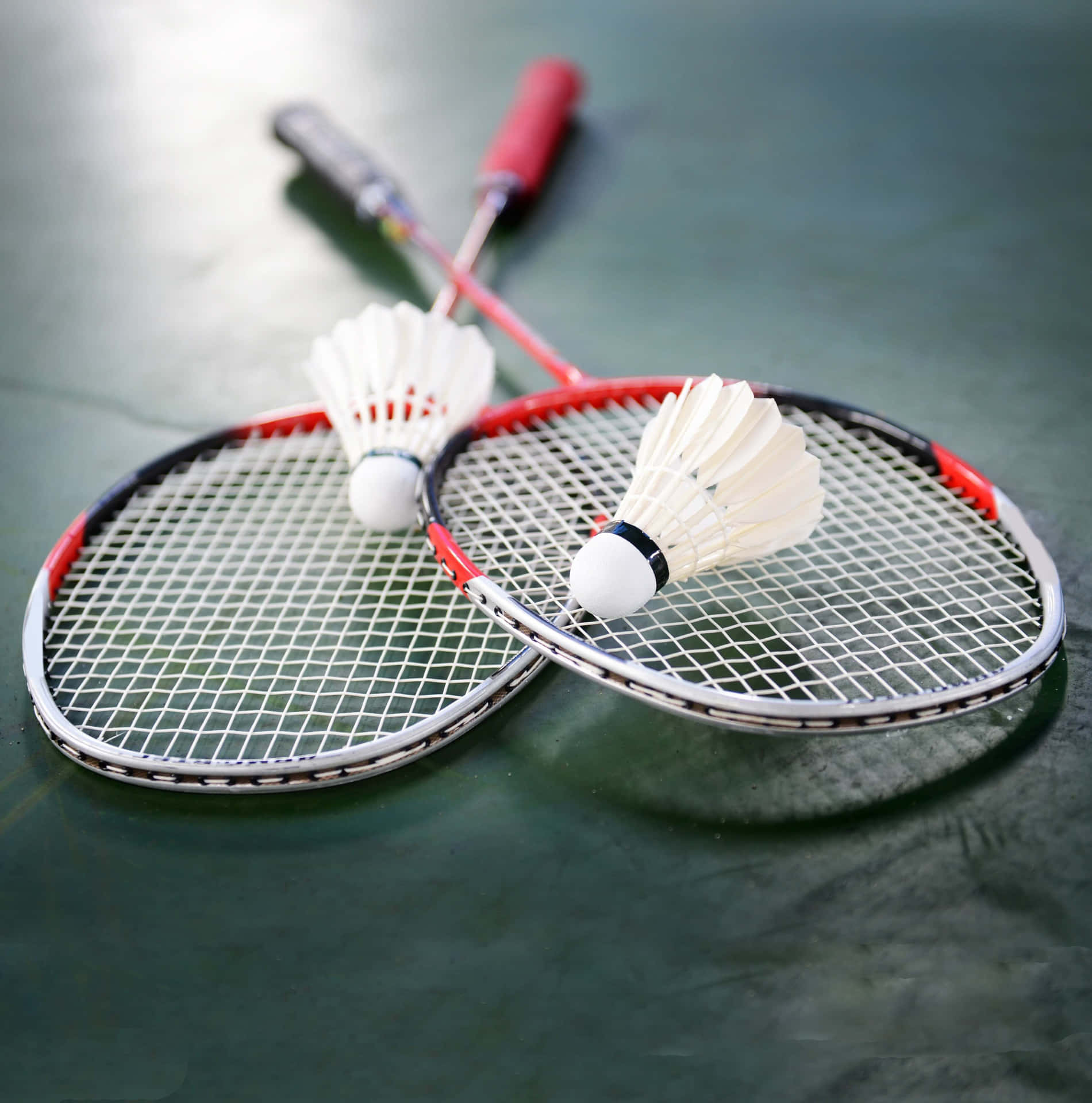 Can Indian Shuttlers Continue Their Winning Run at the Thailand Open ?