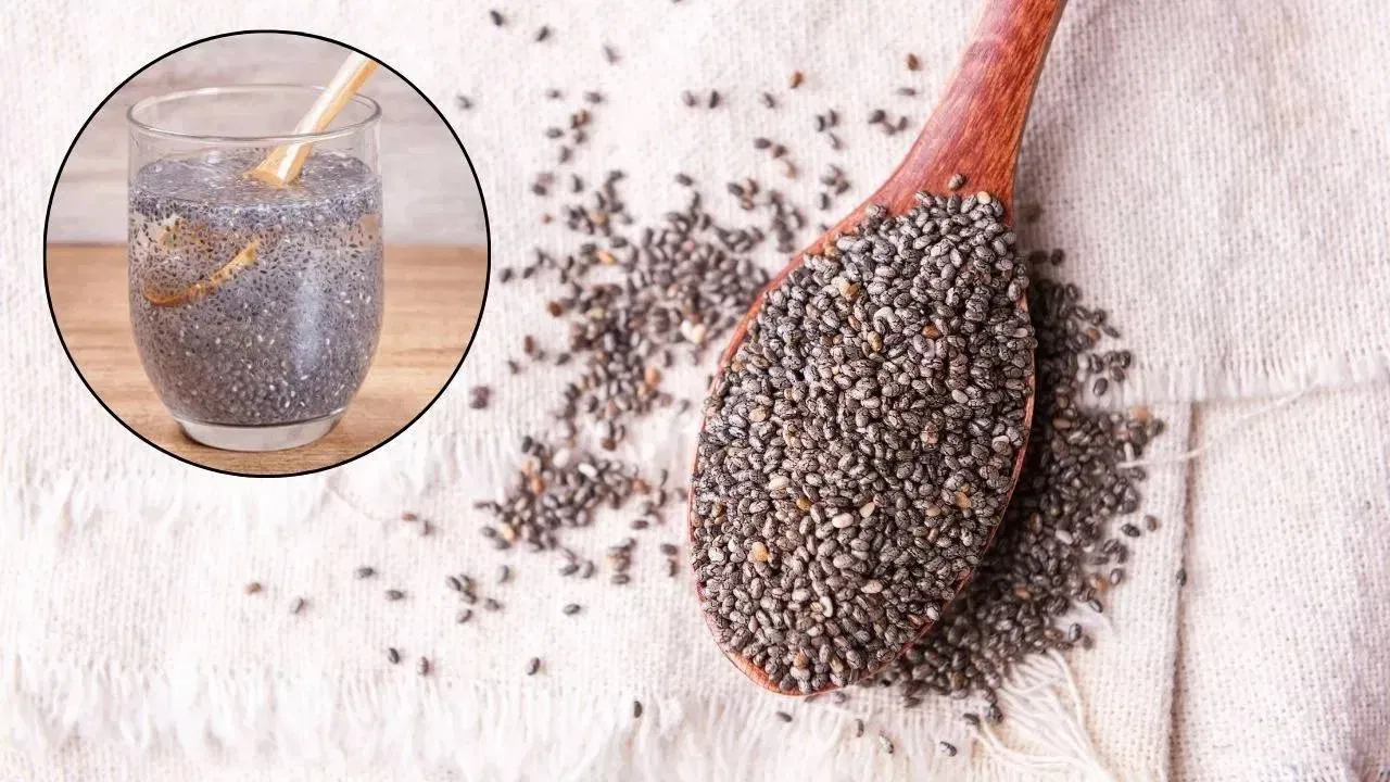 Consume Chia Seeds Daily: Doctors Recommend