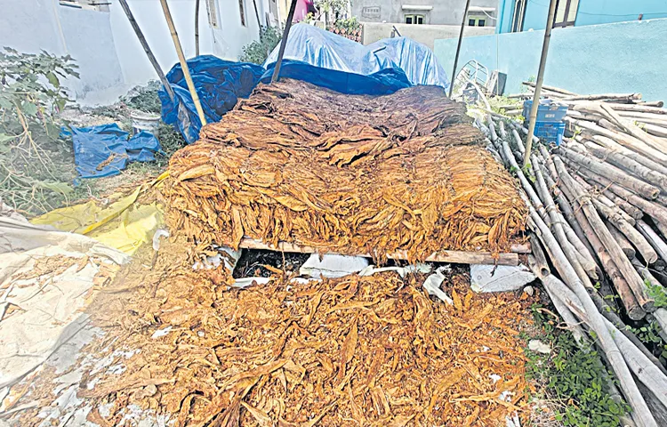 పొగాకు రైతులకు గిట్టుబాటు ధర హామీ ఇచ్చిన ఏపీ ప్రభుత్వం