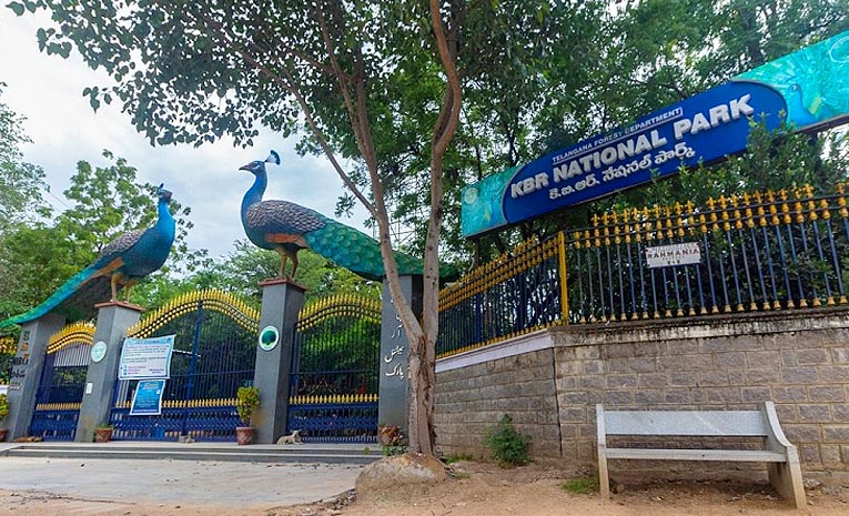 కేబీఆర్ పార్క్ చెట్ల నరికివేతపై సుప్రీంకోర్టులో విచారణ