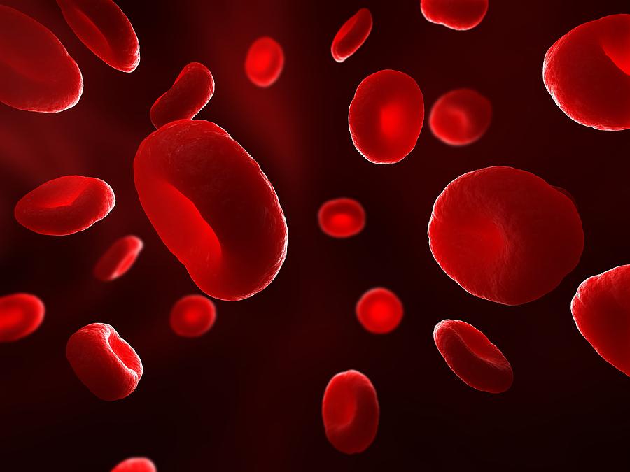 Doctors Suggest Iron-Rich Foods To Boost Hemoglobin Naturally