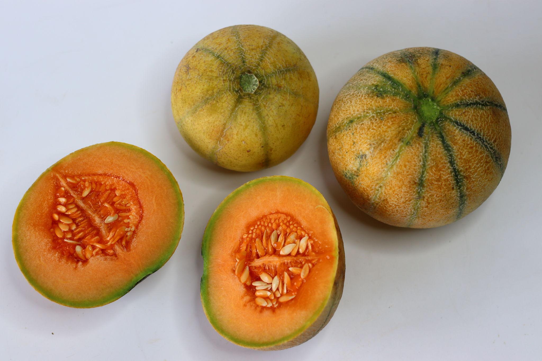 Five Family Members Hospitalised After Consuming Muskmelon!