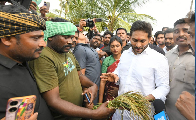Farmers Meet YS Jagan Over Capital Land Issues