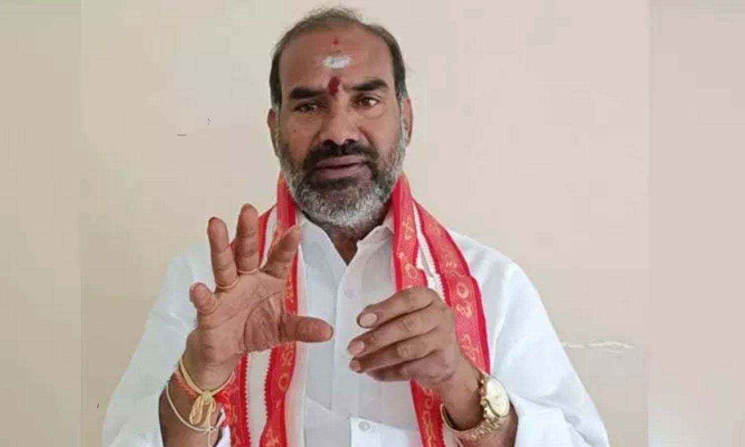 బోనాలను రాజకీయాలకు వాడుకోవద్దు - విప్ ఆది శ్రీనివాస్