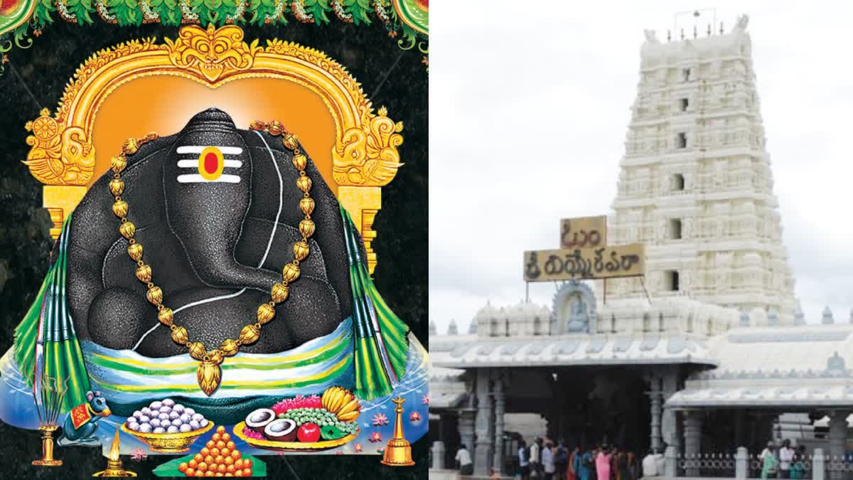 Grand Kalpavriksha Vahana Seva Held at Kanipakam