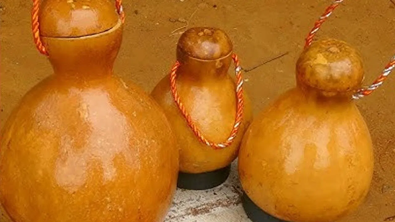 Doctors Recommend Natural Cooling Using Bottle Gourd Shell