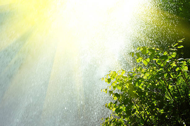 Weather Alert in AP & Telangana: Heatwave and Rainfall Together!