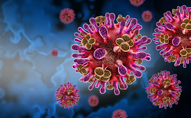 Nipah Virus Scare Returns to Kerala, Health Department on High Alert