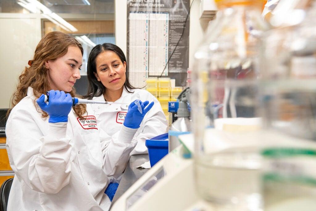 Harvard Under Fire Over Mishandling of Donated Bodies