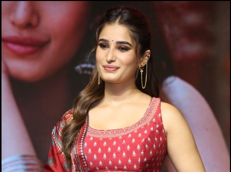 టాలీవుడ్పై పూర్తి దృష్టి పెట్టిన రాషా?