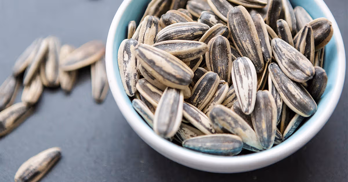 Doctors Say.. Eat Sunflower Seeds and Stay Healthy!