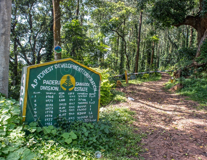 Andhra Pradesh Tops India in Forest Cover - P. V. Chalapathi Rao