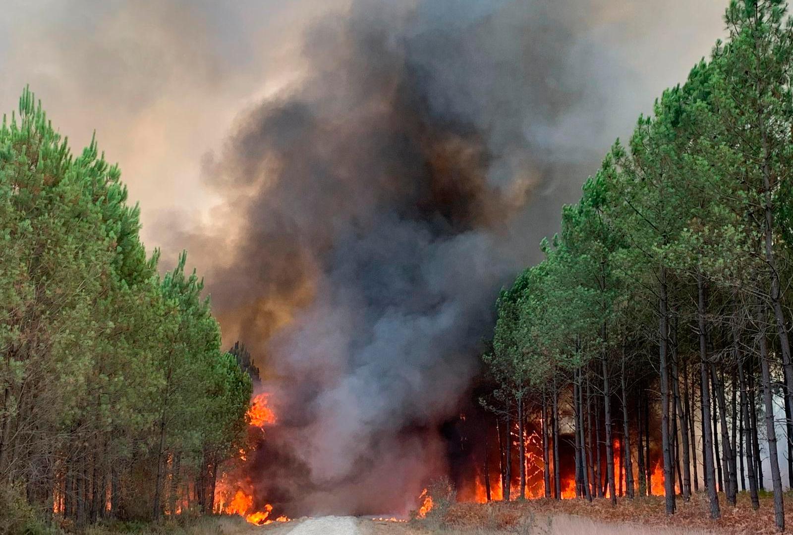 Wildfires Close In on Bordeaux, France’s World-Famous Wine Capital Faces Growing Threat