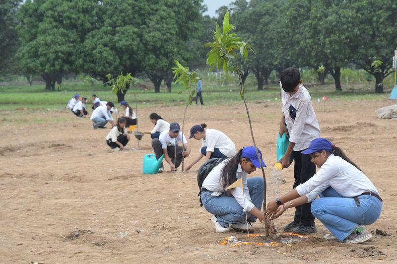 నేడు తెలంగాణలో వనమహోత్సవం...