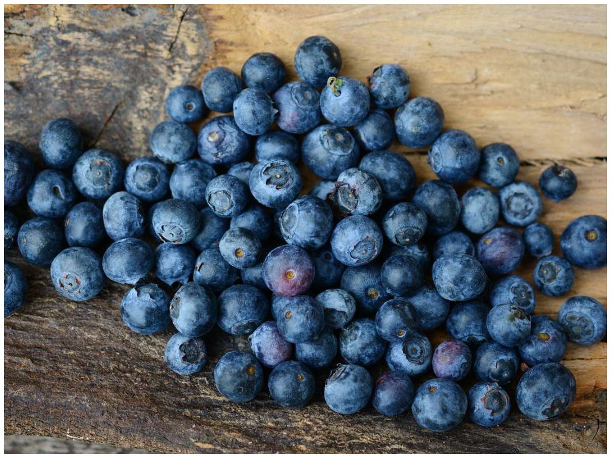 Why Should Children Eat Blueberries? Doctors’ Advice