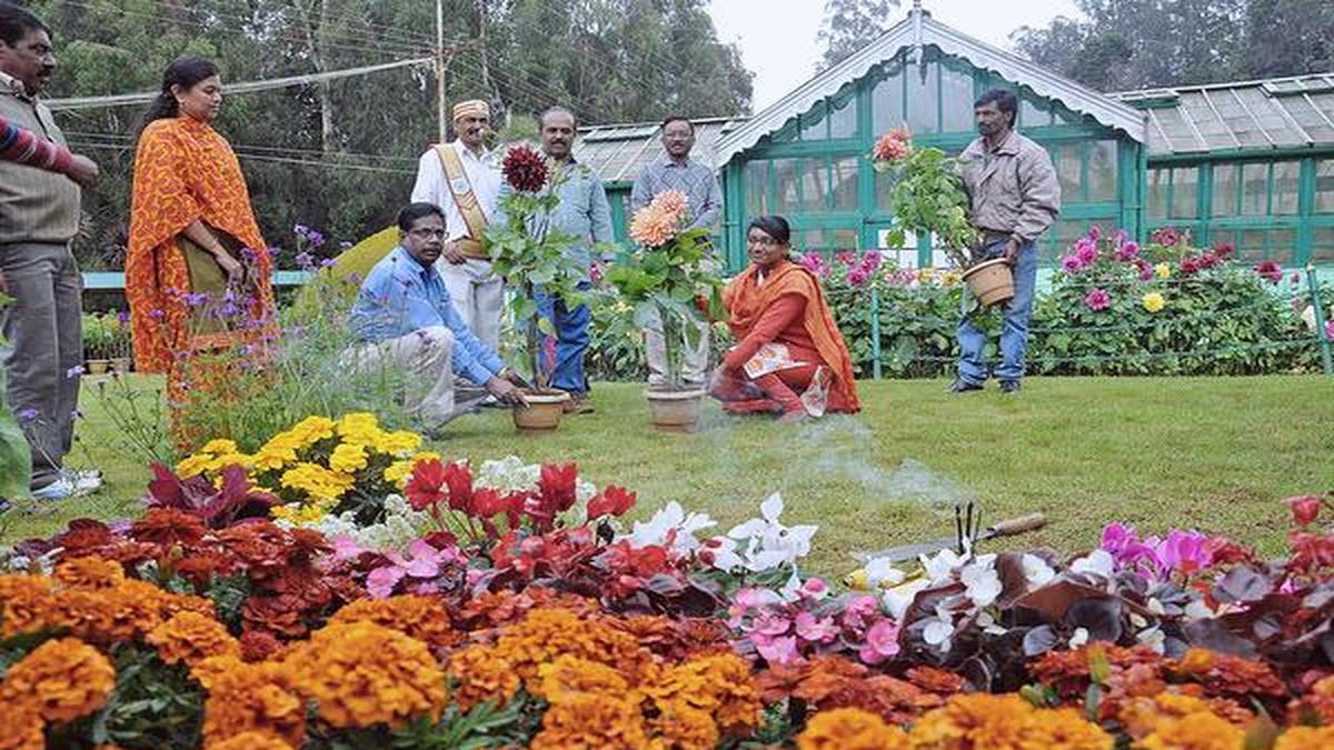 రెండో సీజన్‌కు ముస్తాబవుతున్న ఊటీ