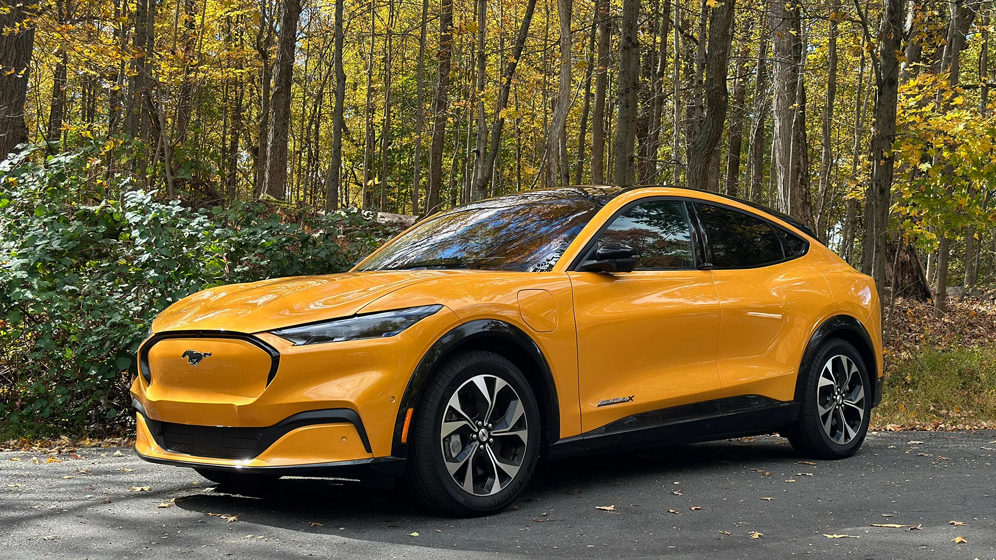 India Surpasses US in EV Car Market Share