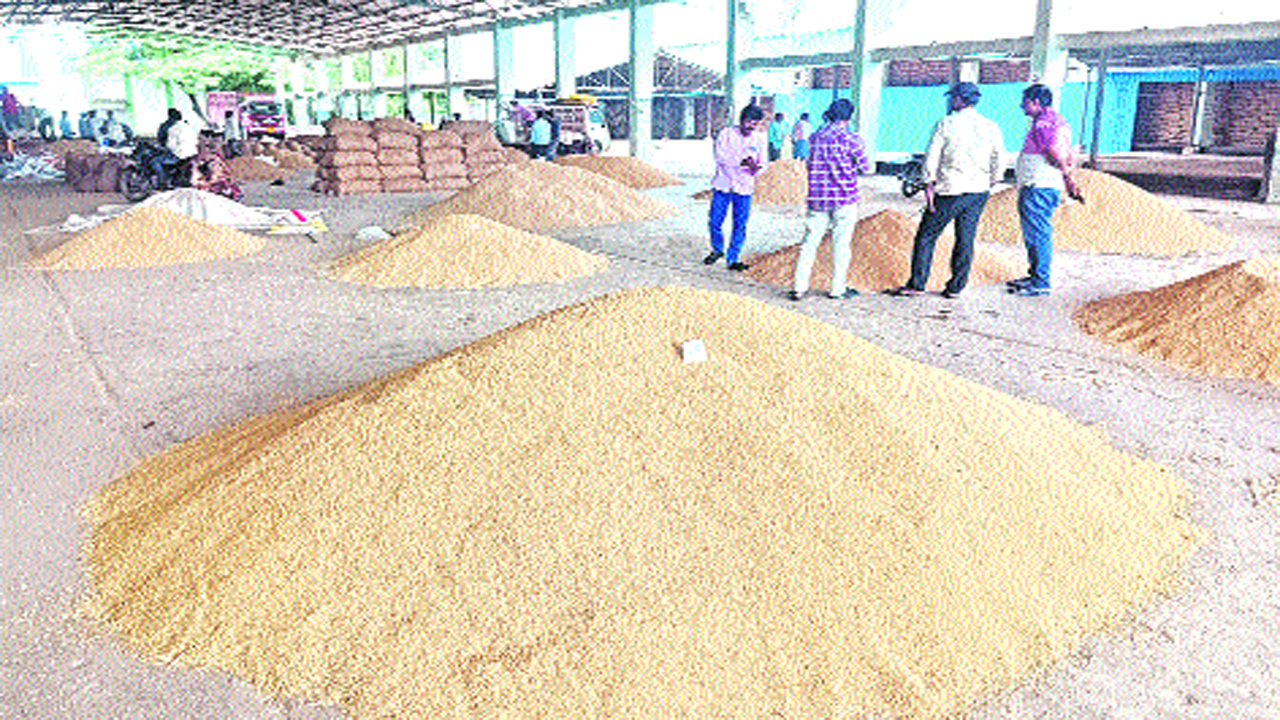 All-Time High Paddy Prices Recorded in Mahabubabad