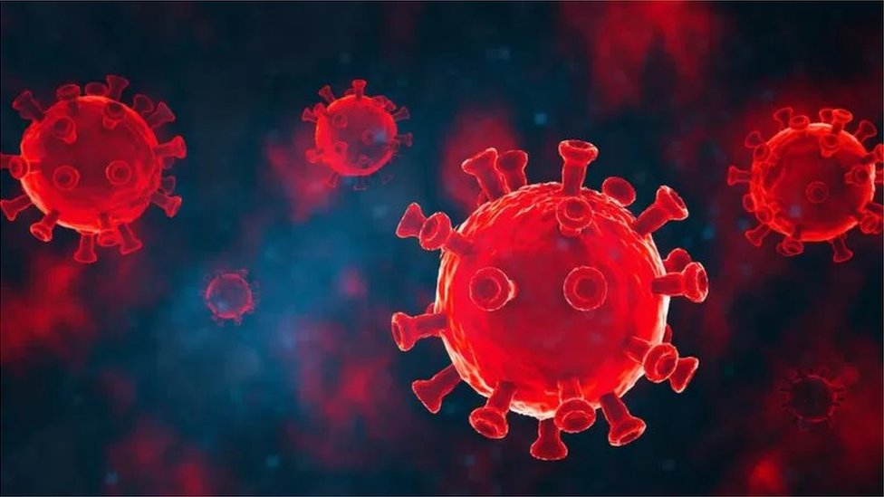 Hantavirus more dangerous than COVID? World Health Organization issues warning