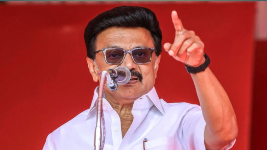 M. K. Stalin Says Vijay-Led TVK Government Could Collapse Anytime!