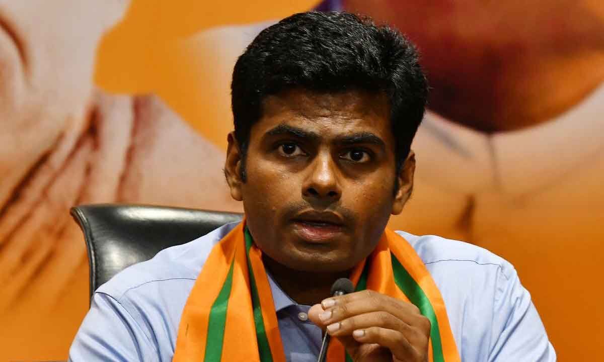 Political Heat Over Annamalai’s New Platform.. TVK Leader Takes A Dig