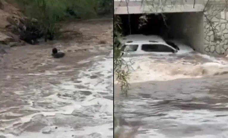 Severe Depression Brings Torrential Rains to Andhra Pradesh