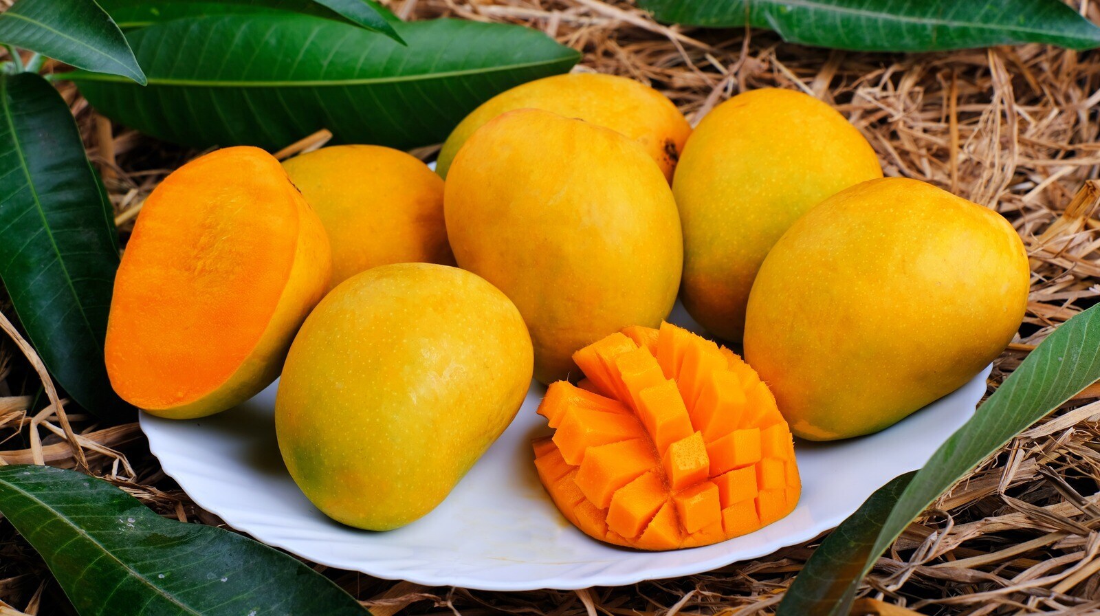 Myths About Mangoes: Doctors Provide Clarity