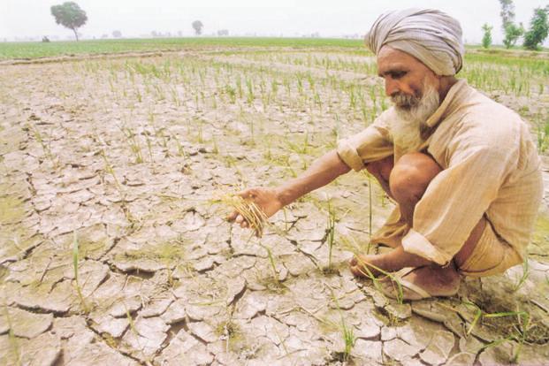 తెలంగాణలో 365 మండలాల్లో కరవు..